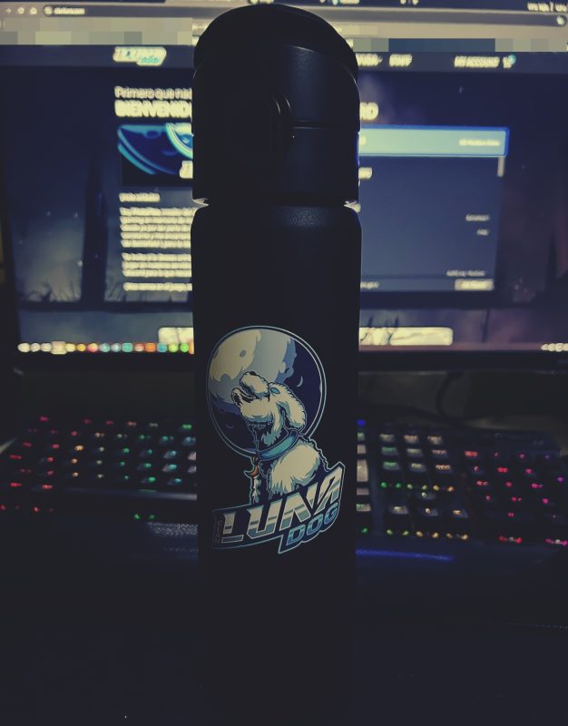 Botella Térmica Luna